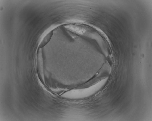 X0000081471295200702092330