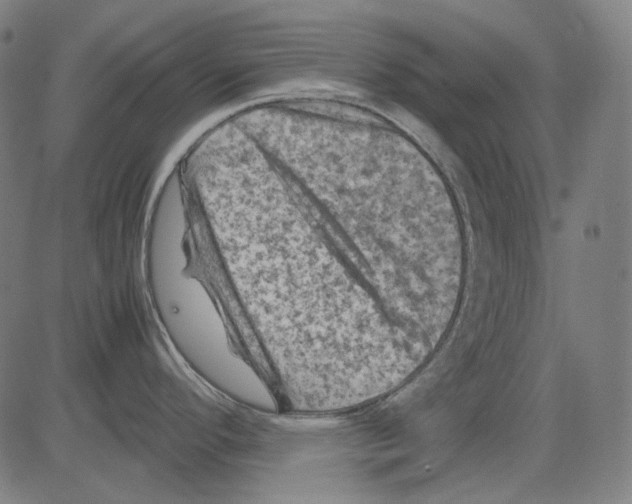 X0000081471296200702092330