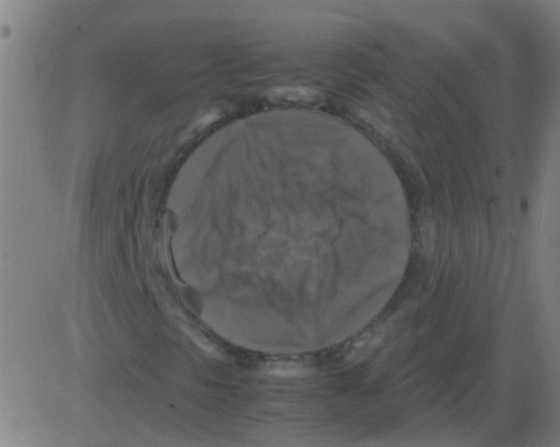 X0000081471297200702092330