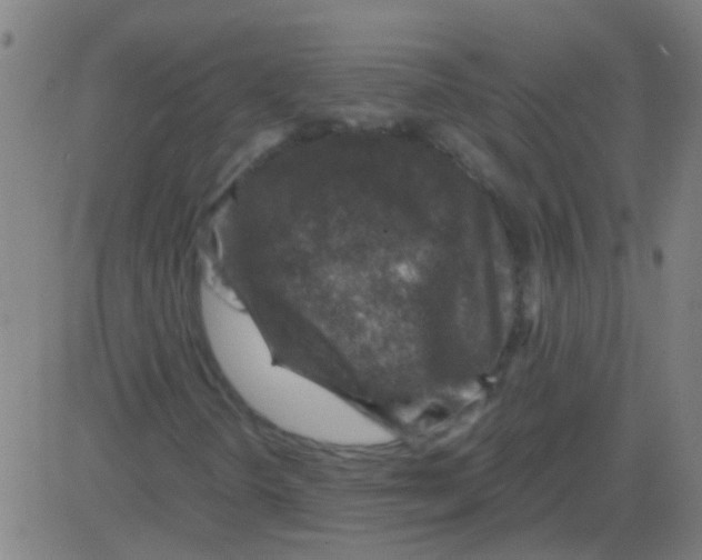 X0000081471298200702092330