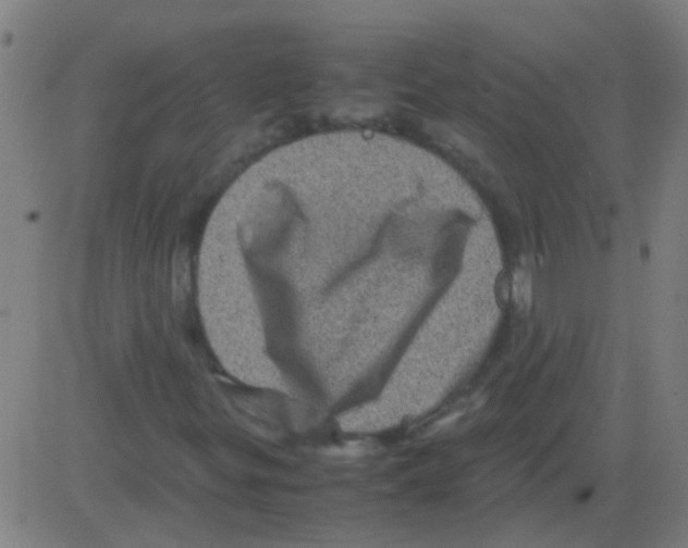 X0000081471299200702092330