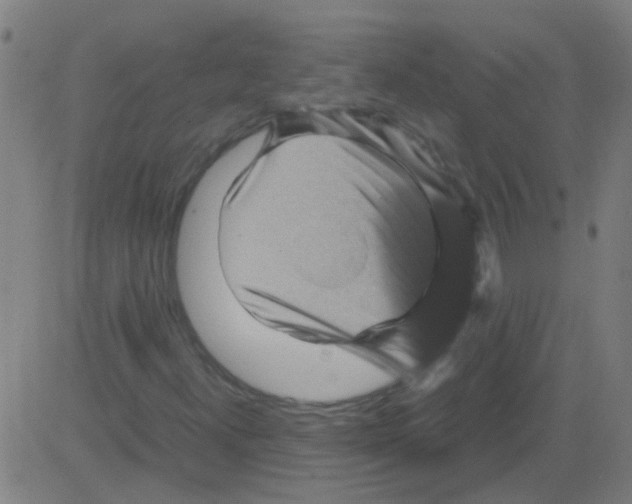 X0000081471300200702092330