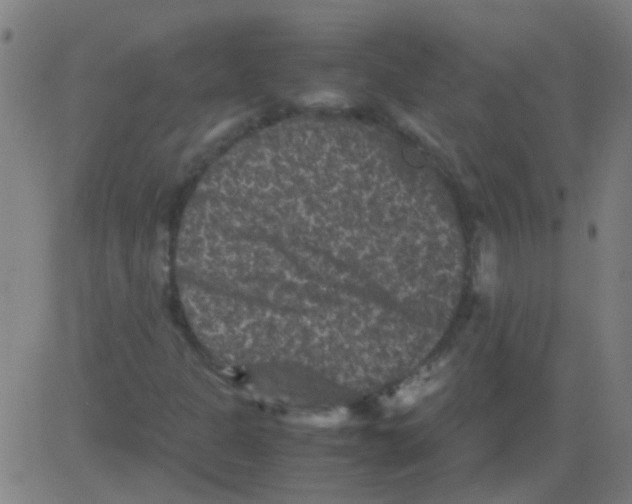 X0000081471301200702092330