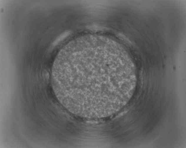 X0000081471302200702092330