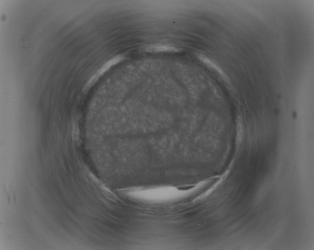 X0000081471305200702092330