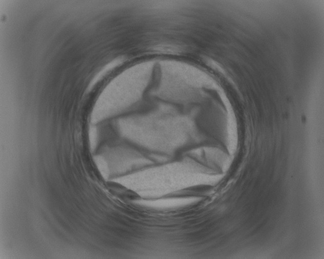 X0000081471307200702092330