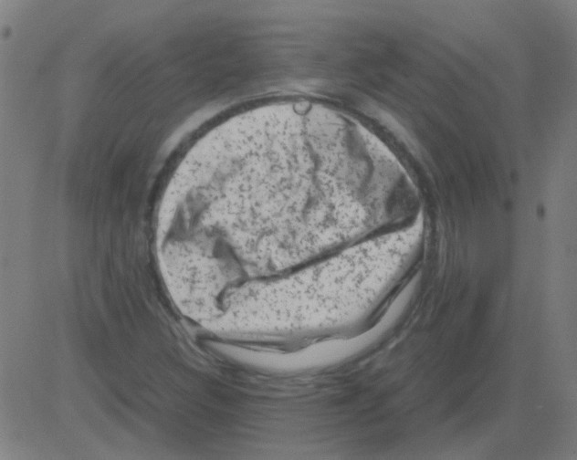 X0000081471308200702092330