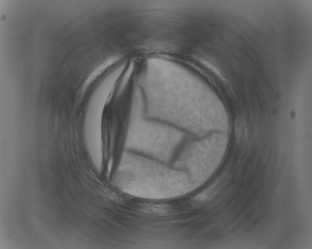 X0000081471309200702092330