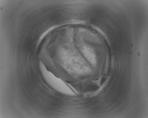 X0000081471310200702092330