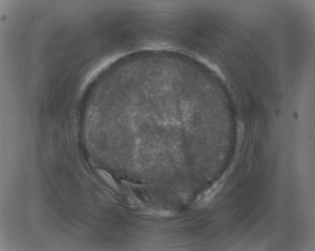 X0000081471311200702092330