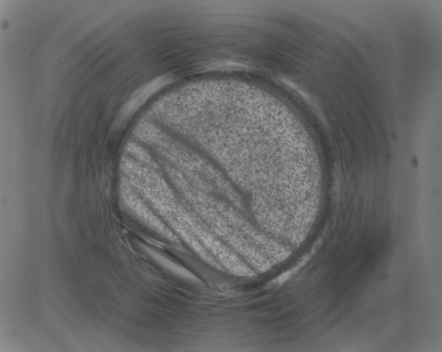 X0000081471313200702092330