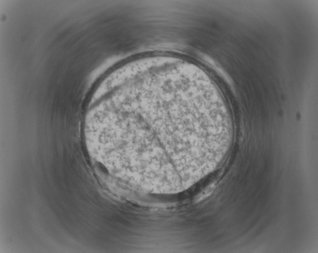 X0000081471316200702092330