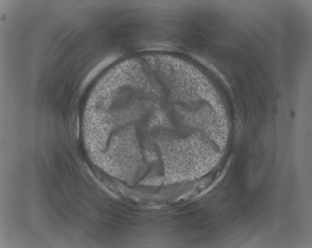 X0000081471317200702092330