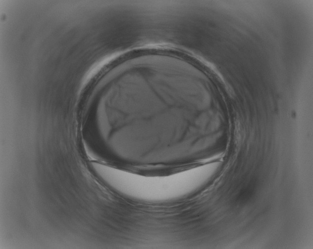 X0000081471319200702092330