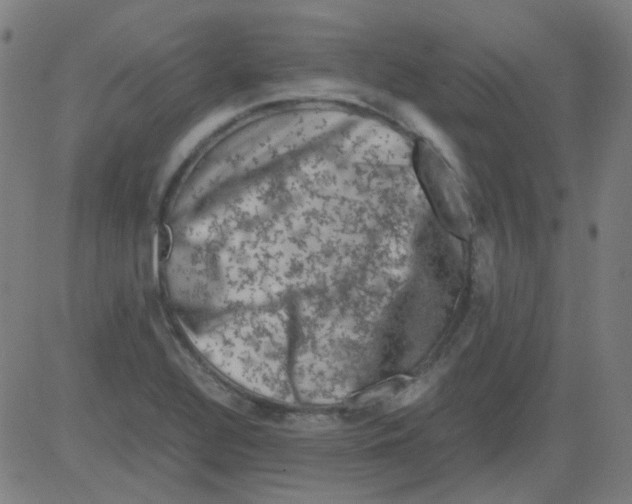 X0000081471320200702092330