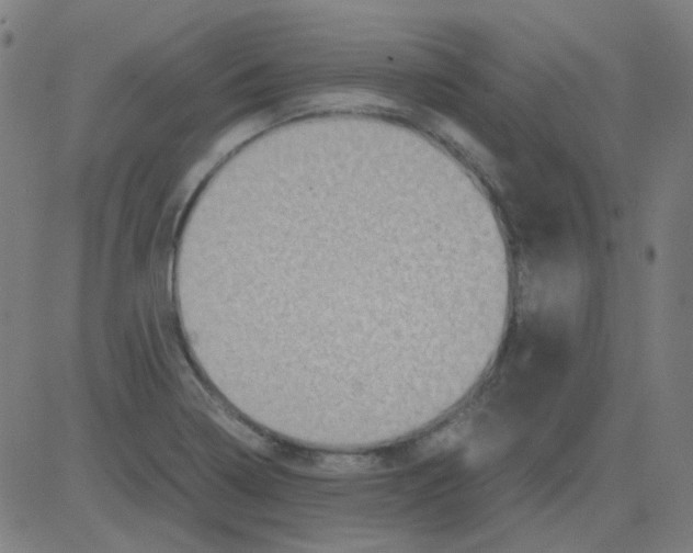 X0000081471322200702092330