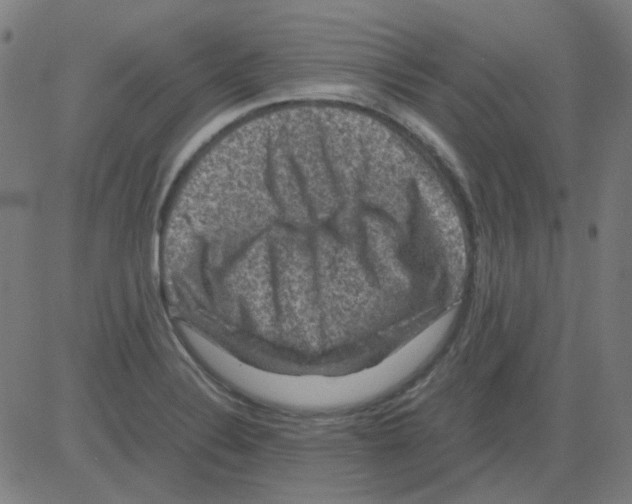 X0000081471324200702092330