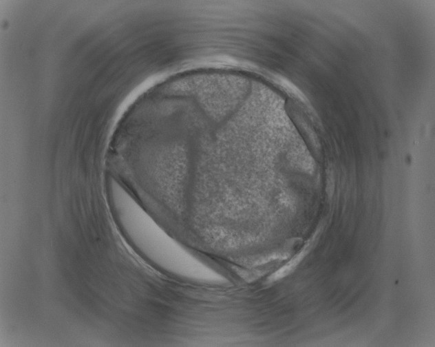 X0000081471326200702092330