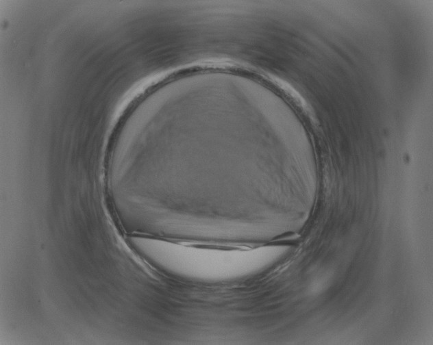 X0000081471327200702092330