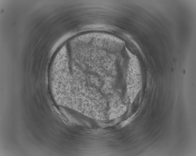 X0000081471328200702092330