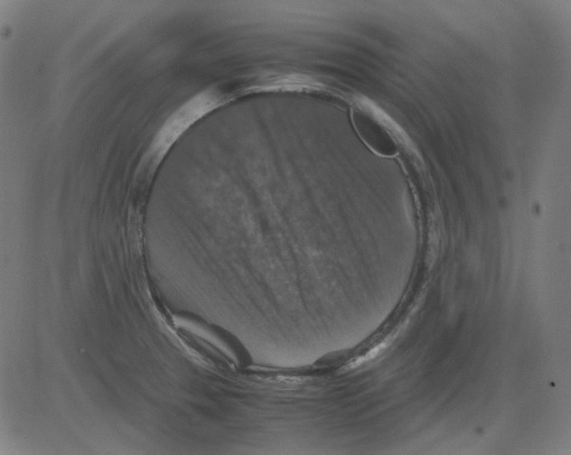 X0000081471329200702092330