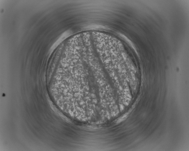 X0000081471330200702092330