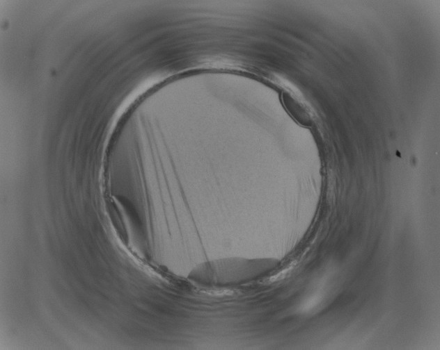 X0000081471331200702092330