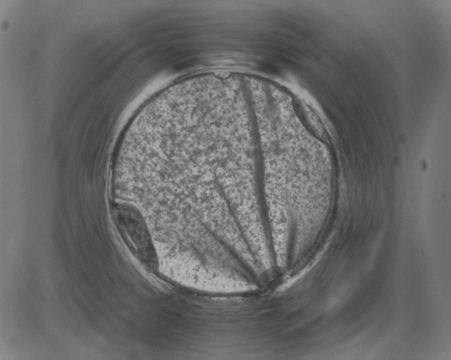 X0000081471333200702092330