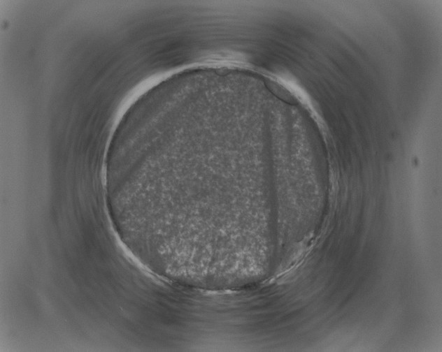 X0000081471335200702092330