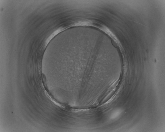 X0000081471337200702092330