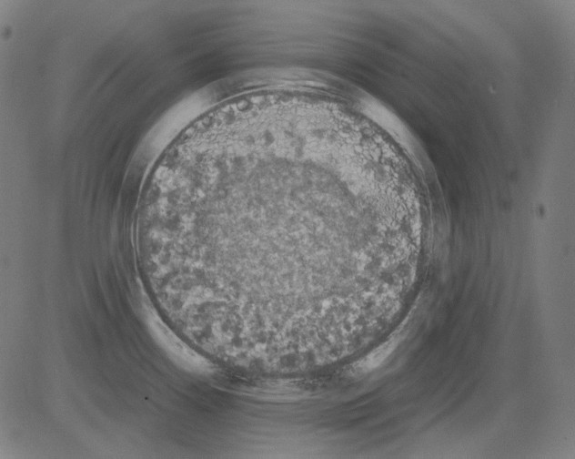 X0000081471338200702092330