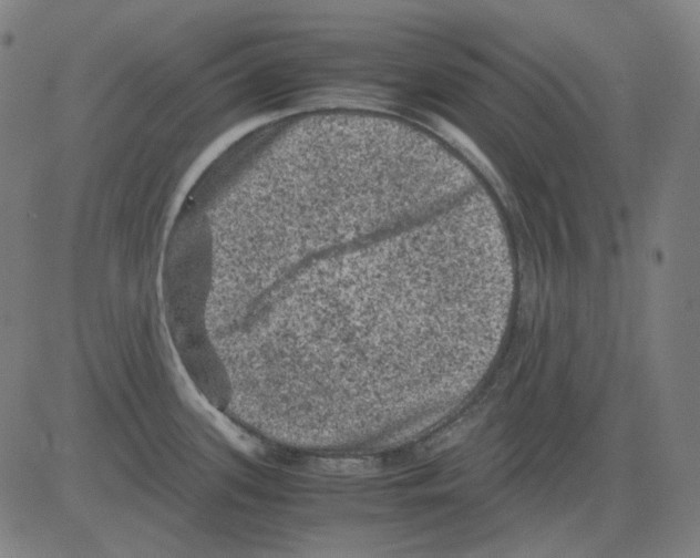 X0000081471339200702092330