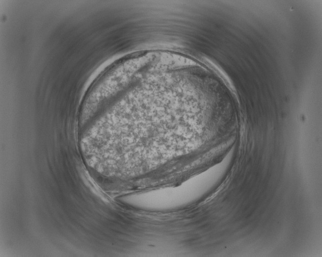 X0000081471340200702092330