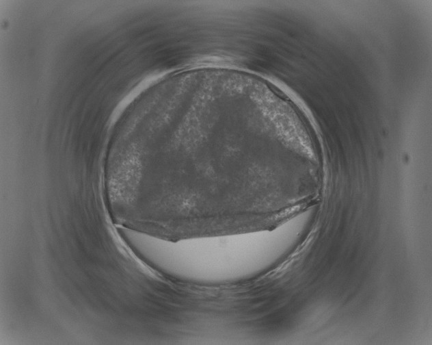 X0000081471341200702092330