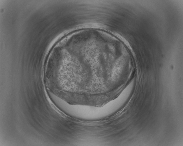 X0000081471342200702092330