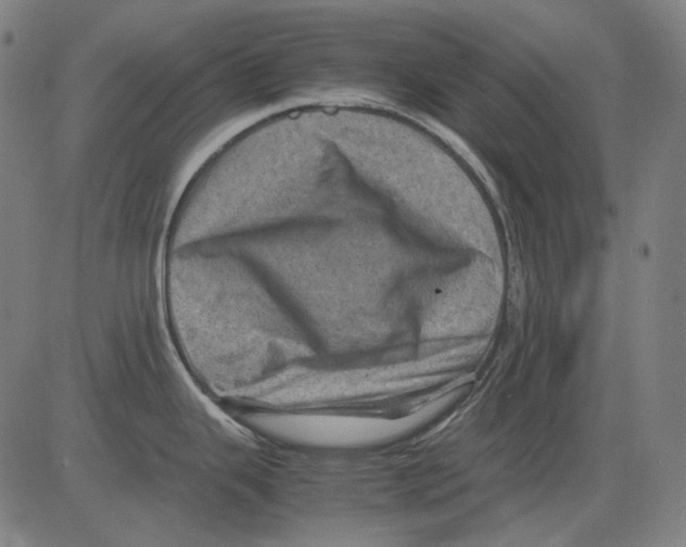 X0000081471343200702092330