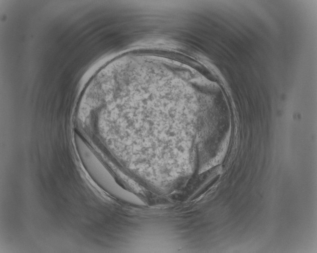 X0000081471344200702092330