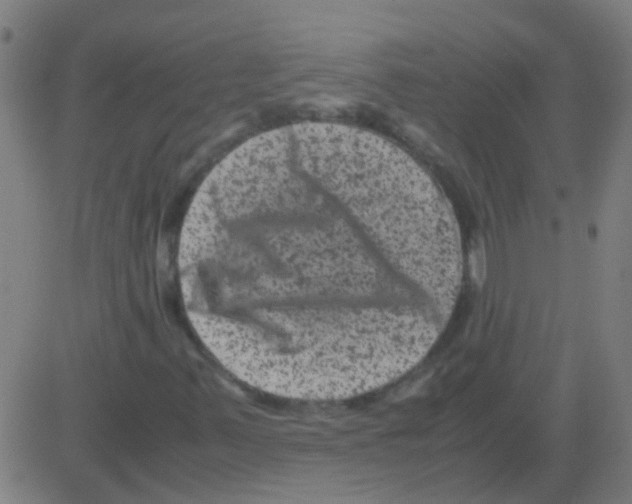 X0000081471347200702092329