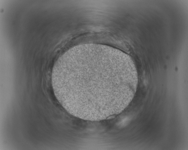 X0000081471349200702092329