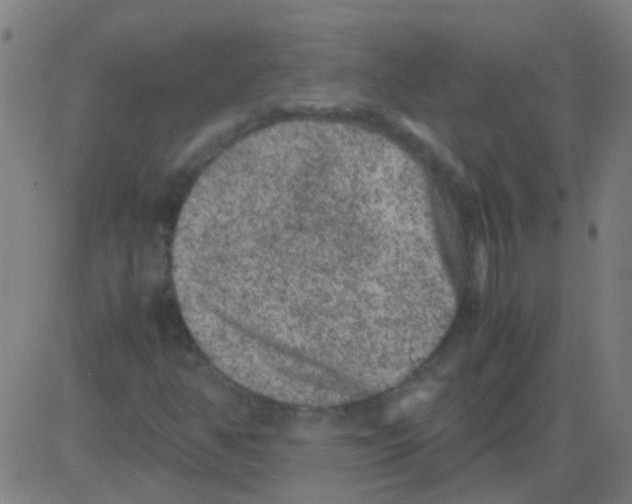 X0000081471350200702092329