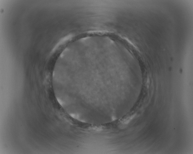 X0000081471351200702092329