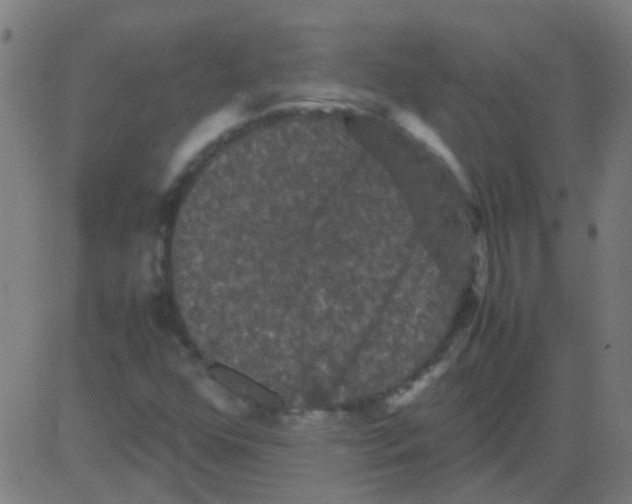 X0000081471352200702092329