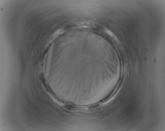 X0000081471353200702092329