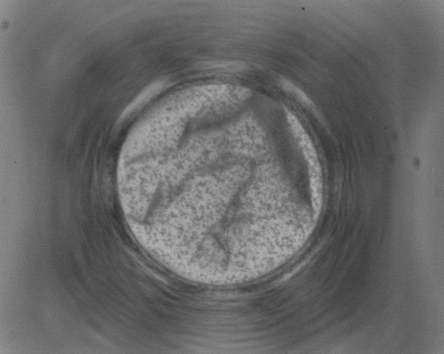 X0000081471354200702092329