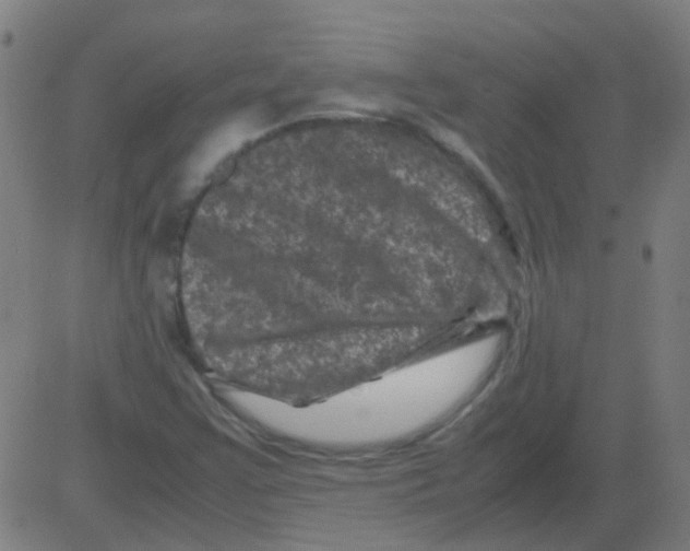 X0000081471355200702092329