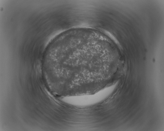 X0000081471356200702092329