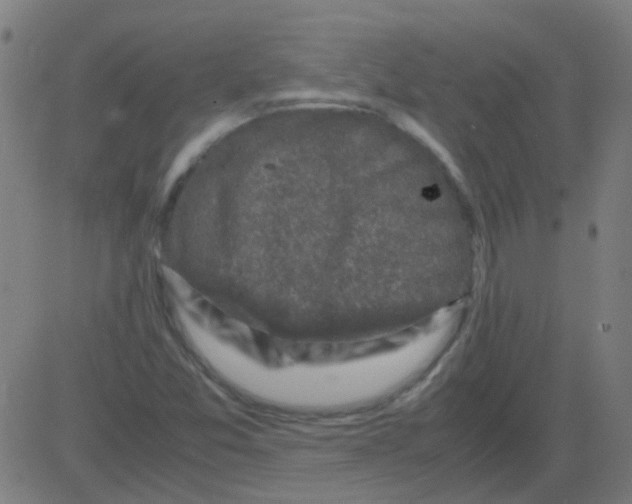 X0000081471357200702092329