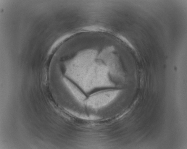 X0000081471358200702092329