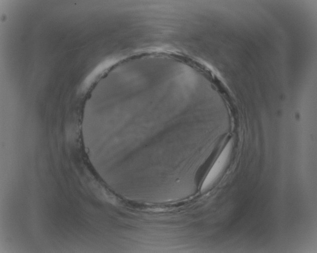 X0000081471359200702092329