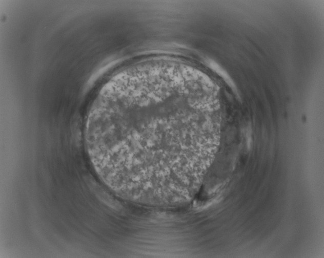 X0000081471360200702092329